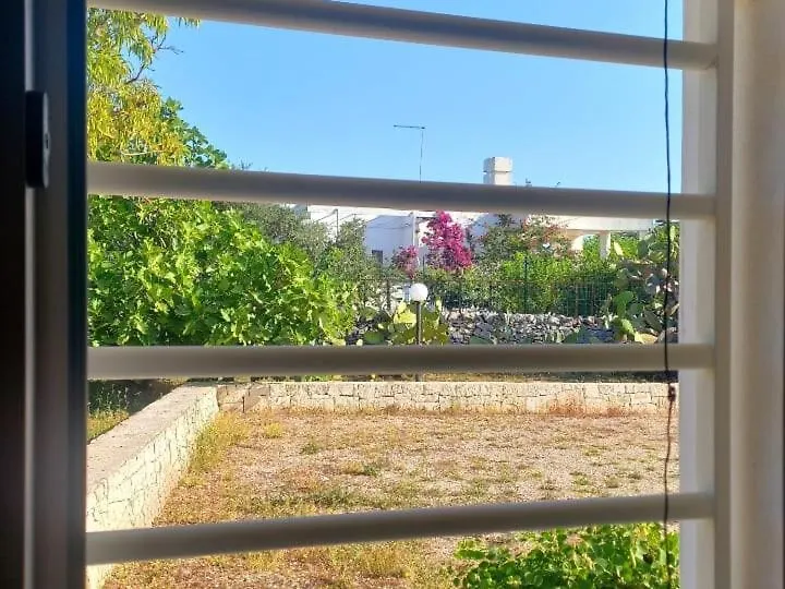 Fiore di Cappero-1