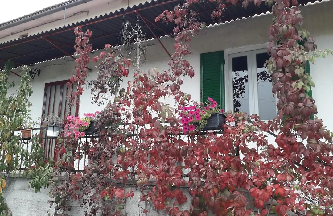 Casa al Vantaggio-1