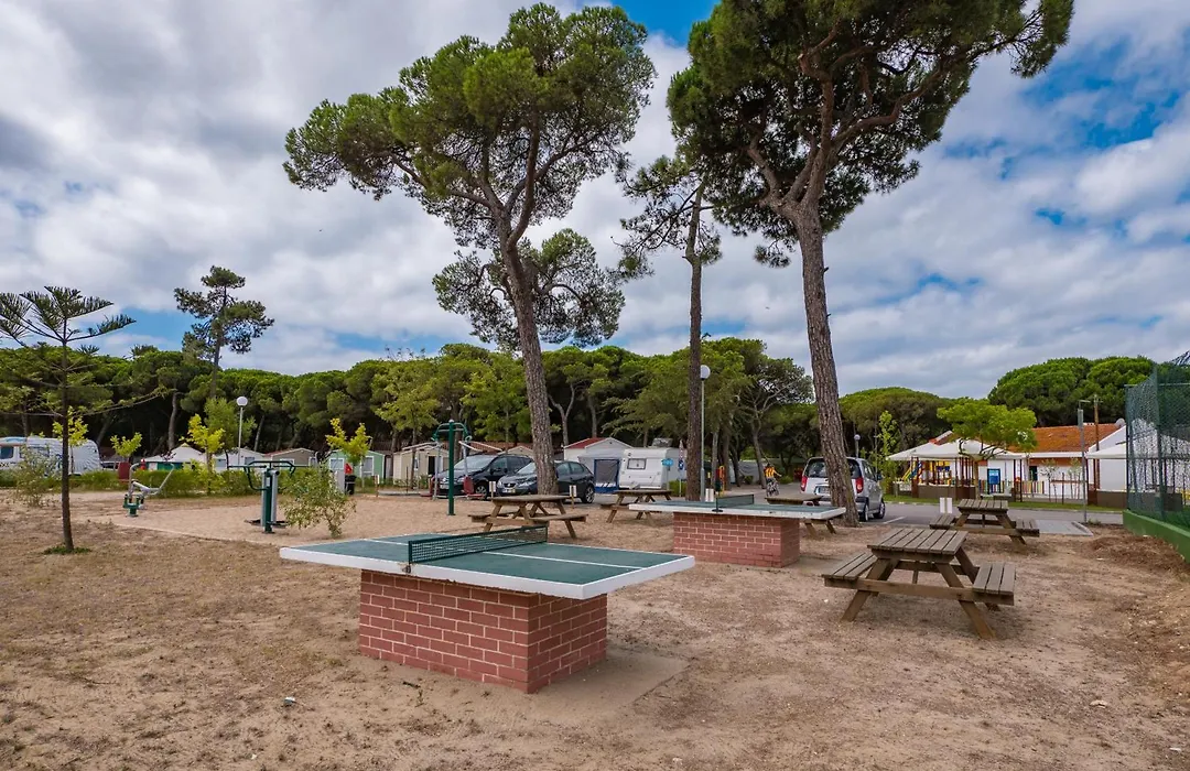 Parque De Campismo Orbitur Costa De Caparica-1
