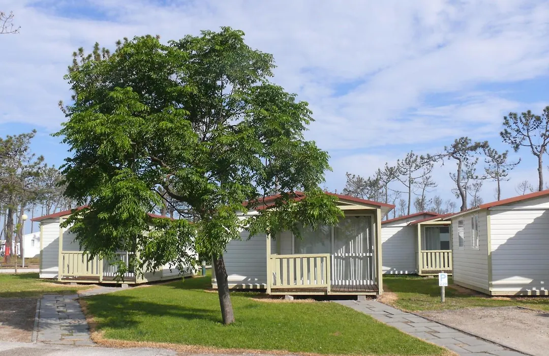 Parque De Campismo Orbitur Gala-1