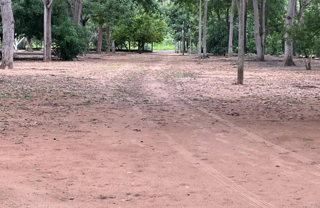 Sítio da amizade-1