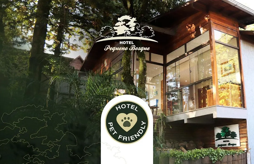 Hotel Pequeno Bosque-1