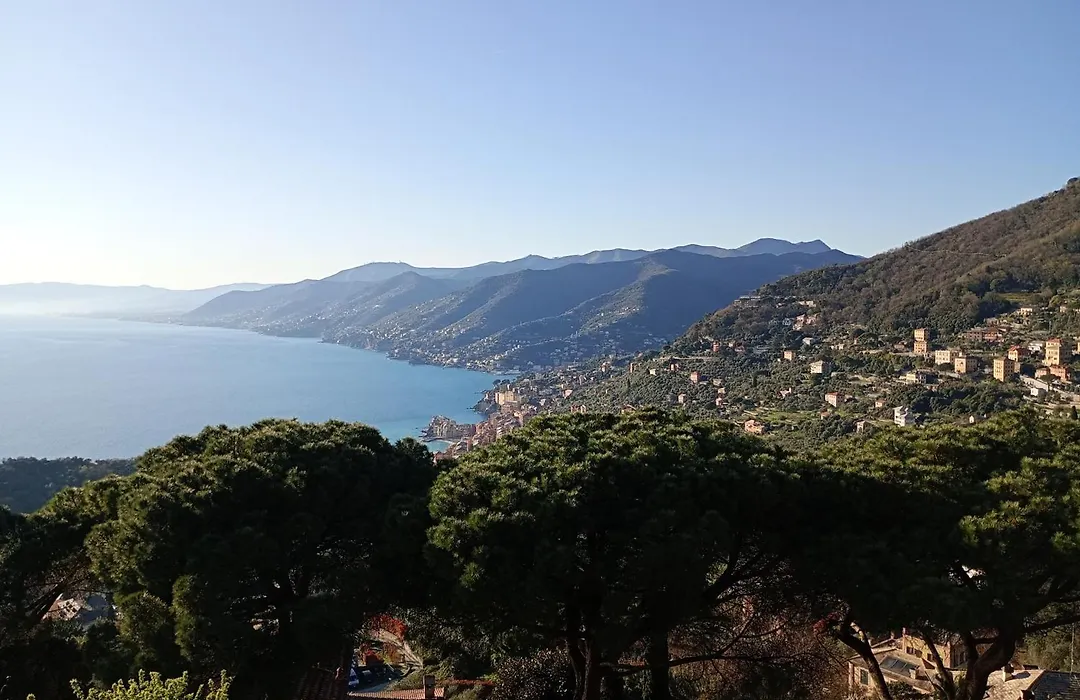 Golfo Paradiso-1