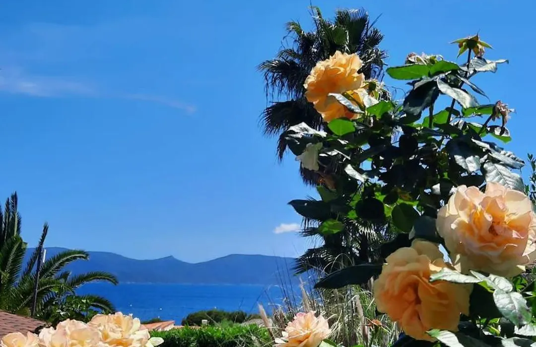 Mare E Monti Chalets-1