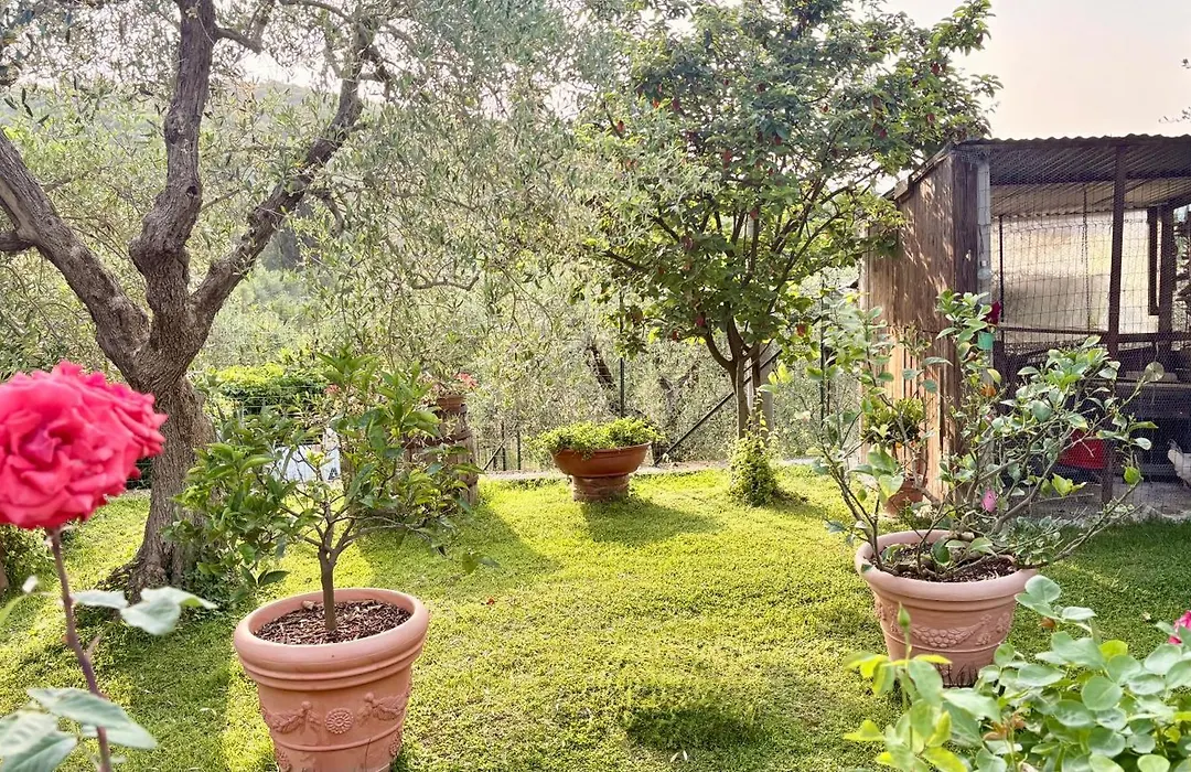 B&B Il Pozzo-1