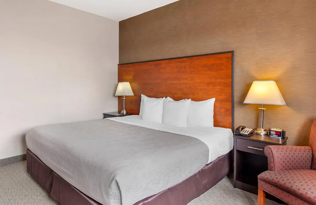 Quality Inn Toronto Airport-1