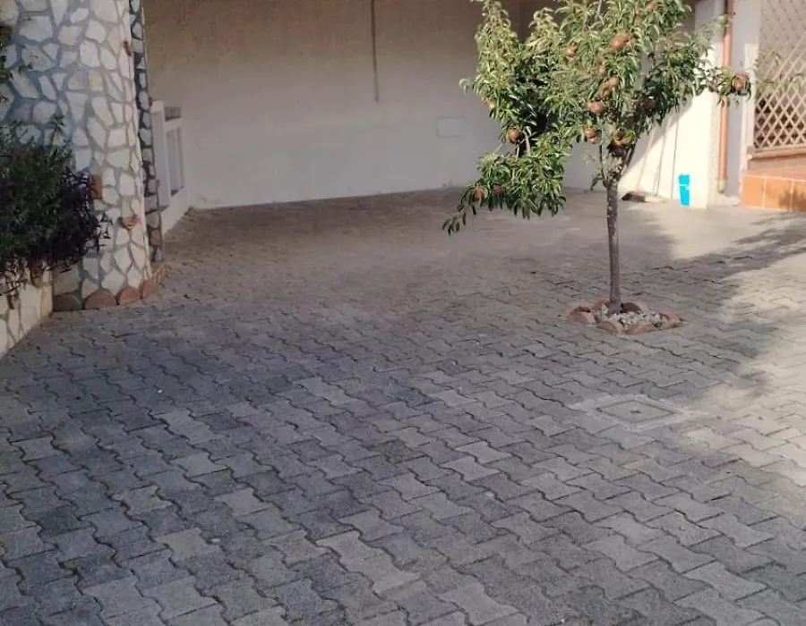 Casa Pallino-1