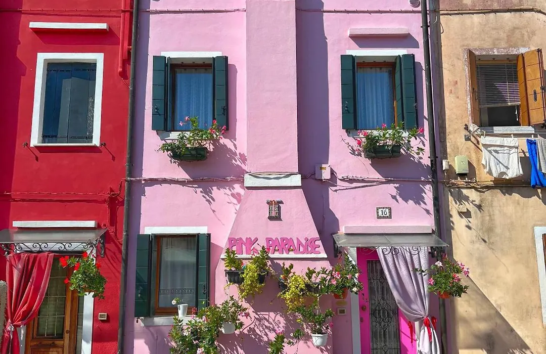Pink Paradise-1