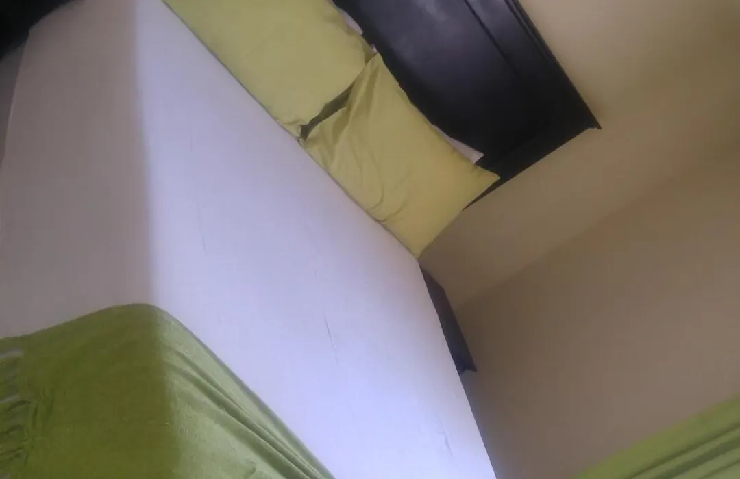 Maple Guest House-1