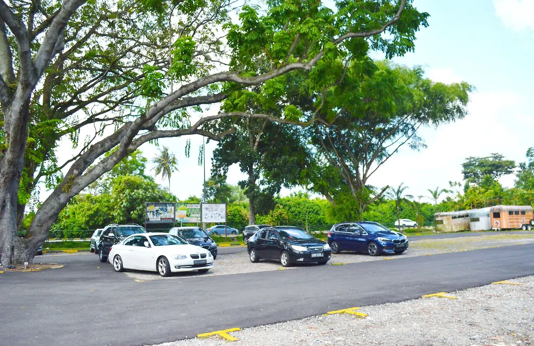Pegasus Hotel-1
