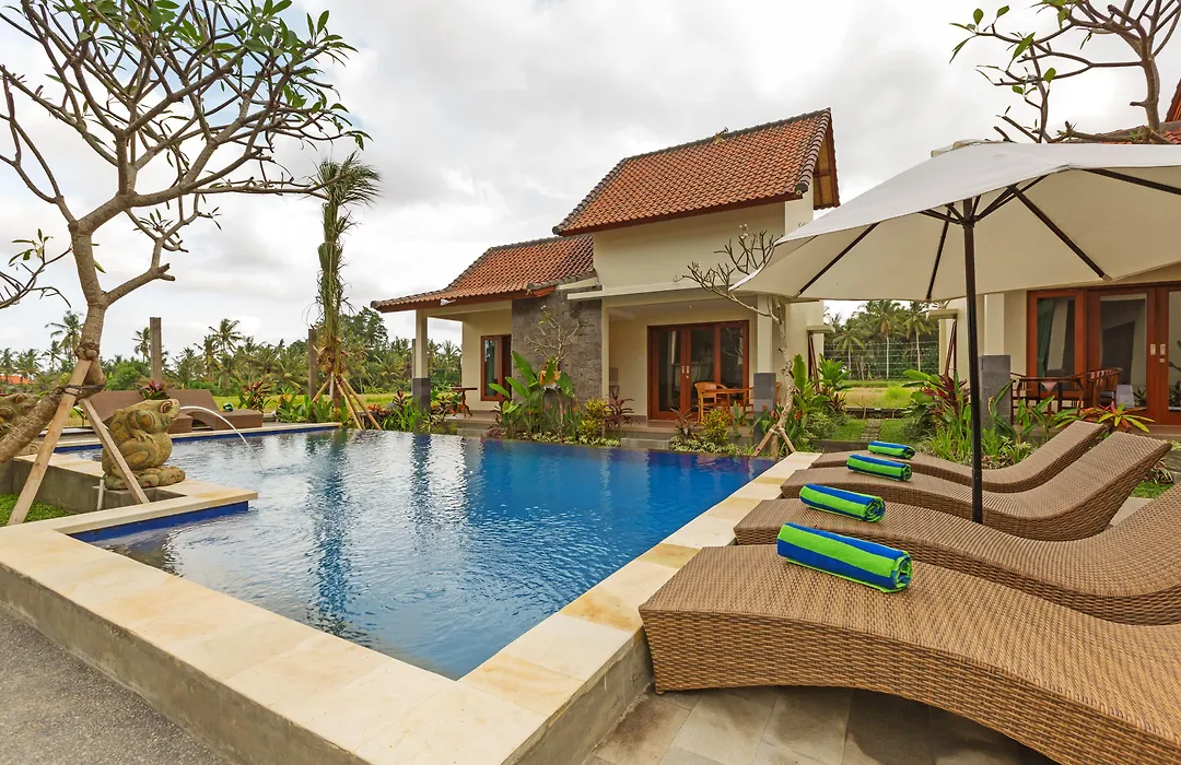 Sisin Ubud View-1