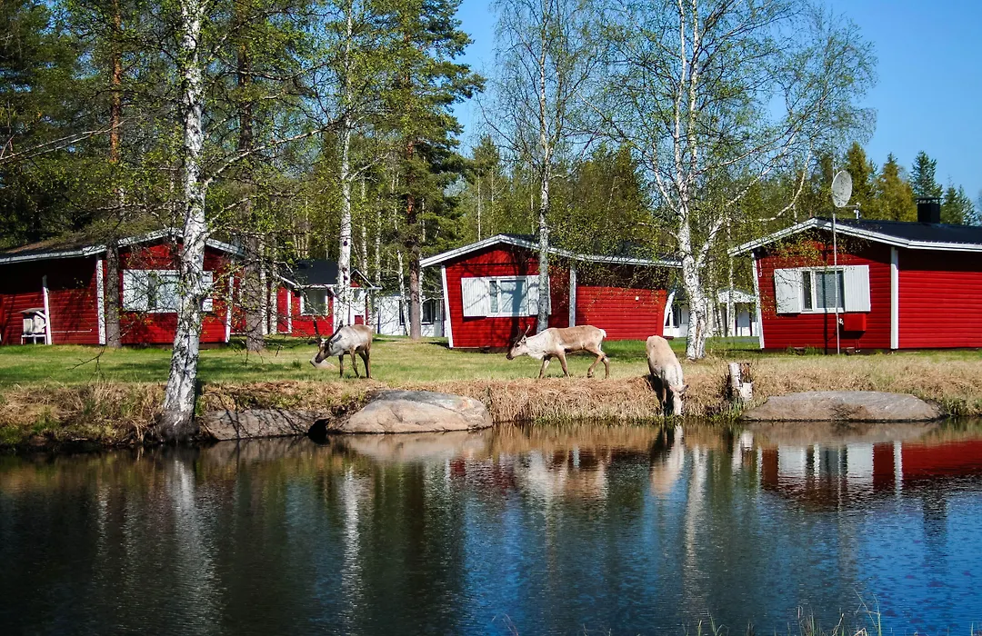 Motelli Rovaniemi-1