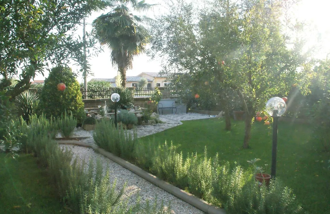 Bed&Breakfast degli ulivi-1