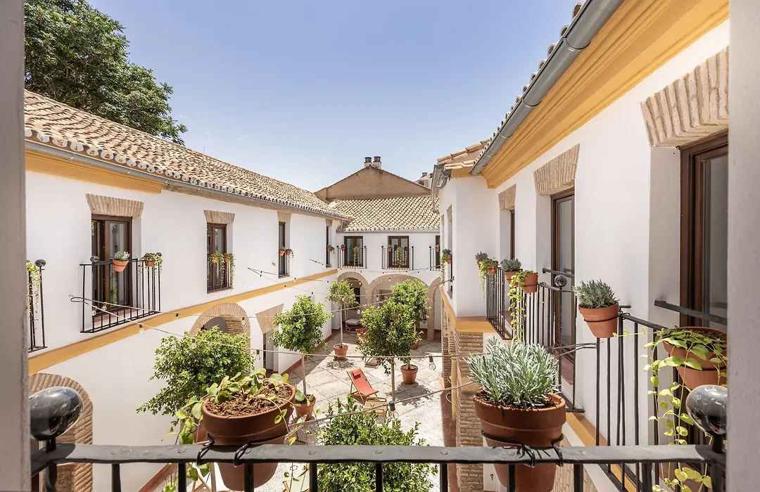 Cats Hostel Cordoba-1