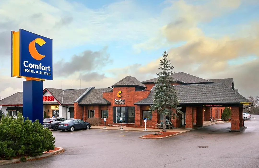 Comfort Hotel & Suites-1