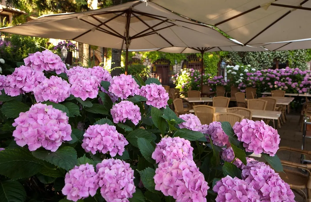 Albergo Santa Chiara-1