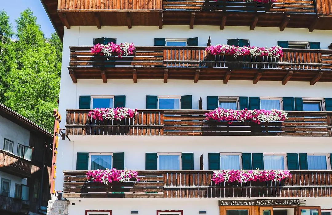 Hotel Des Alpes-1