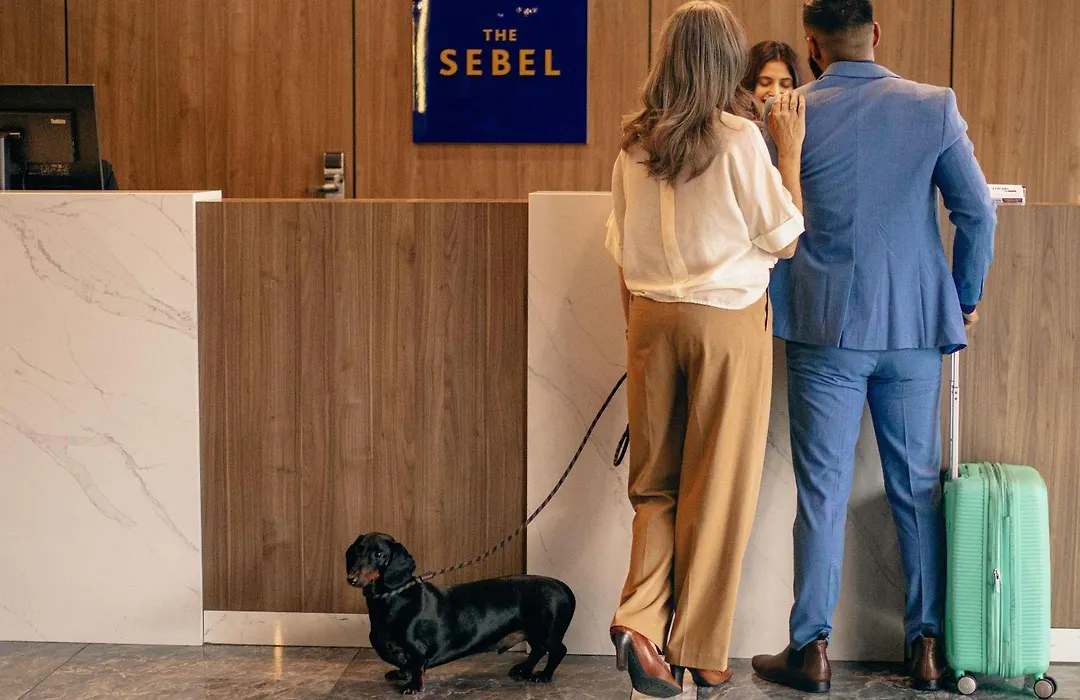 The Sebel Canberra Civic-1