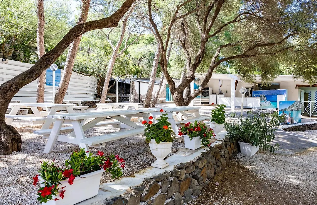 Camping Car Palmasera-1
