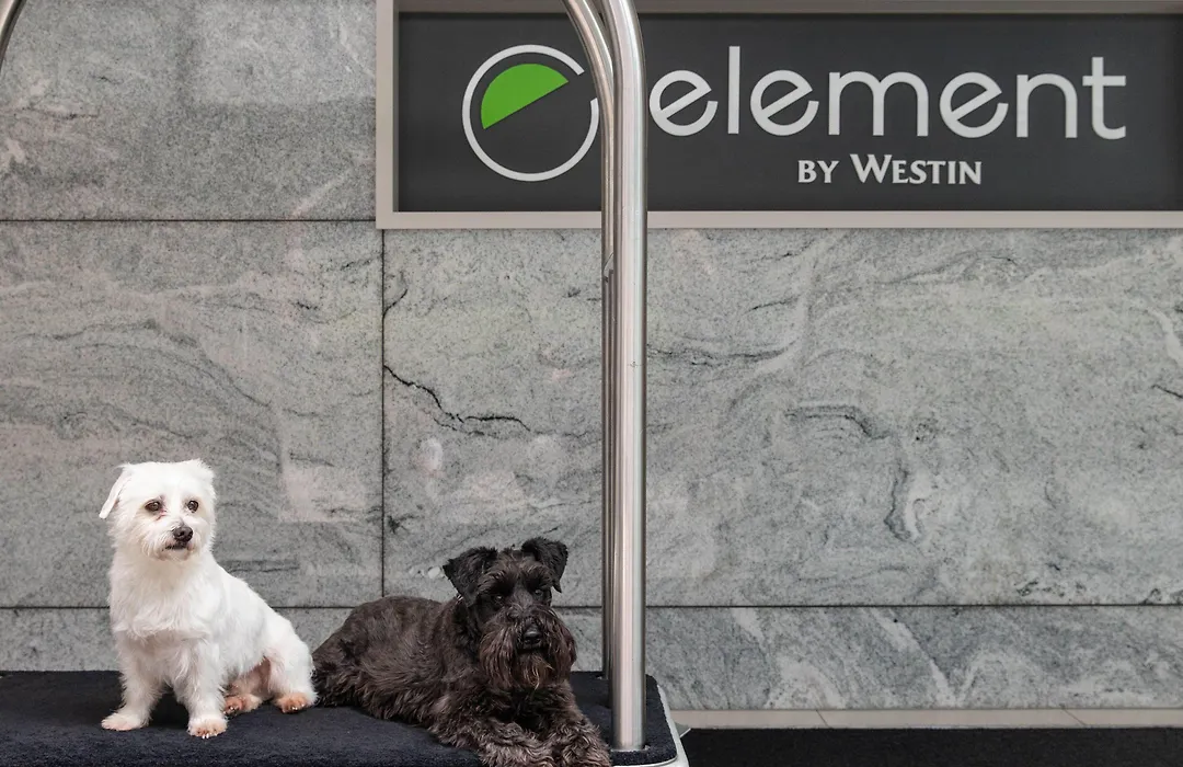 Element By Marriott Melbourne Richmond-1