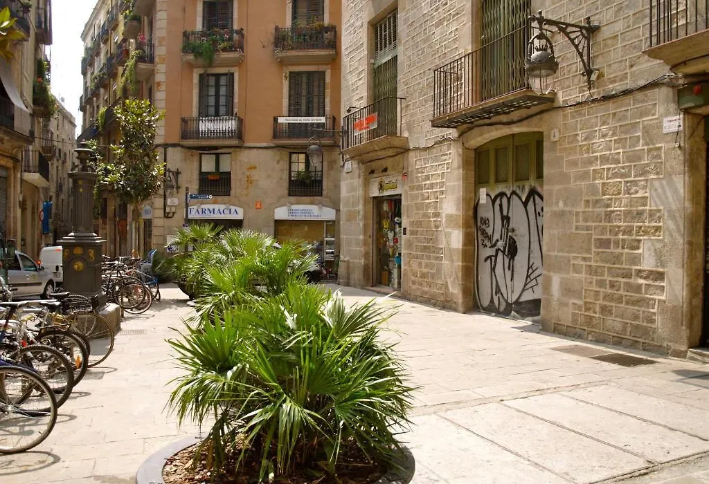 Hostal Nitzs Bcn-1