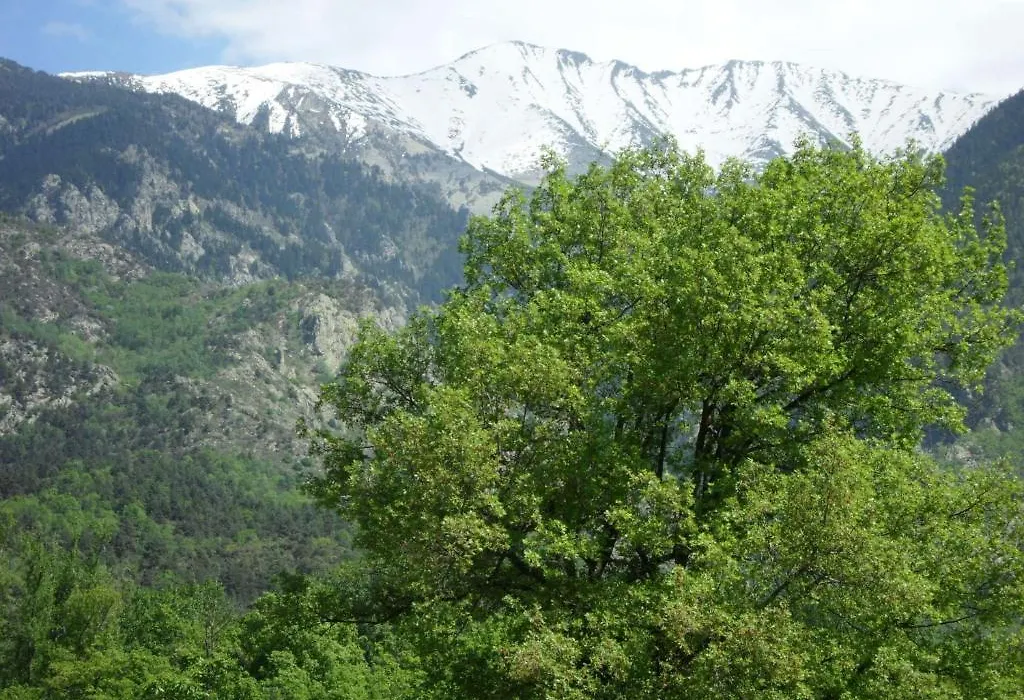 Les Balcons du Canigou-1