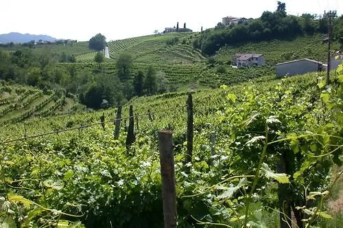 b&b alla pergola-1