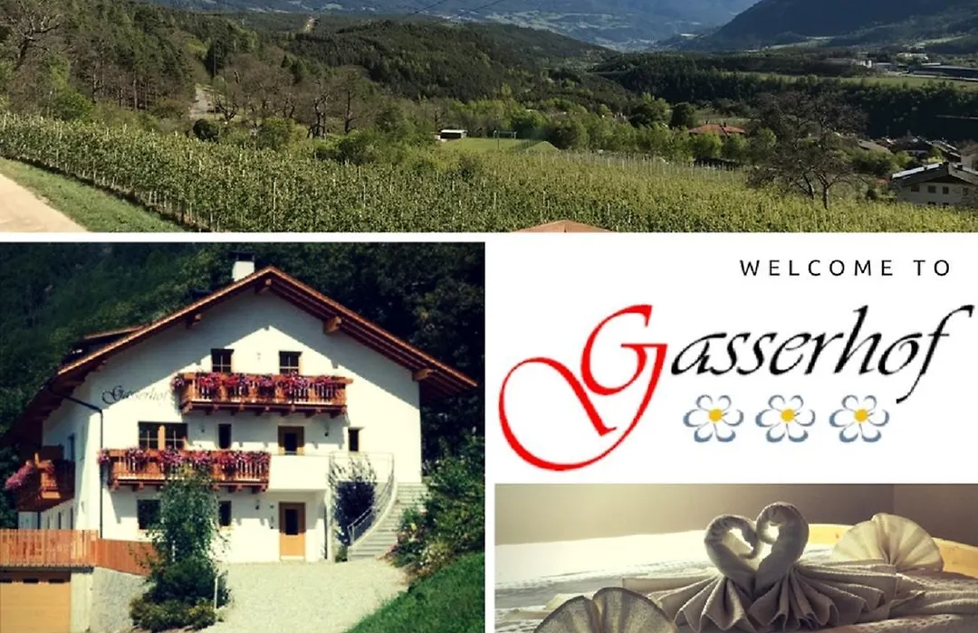 Gasserhof Aicha-1