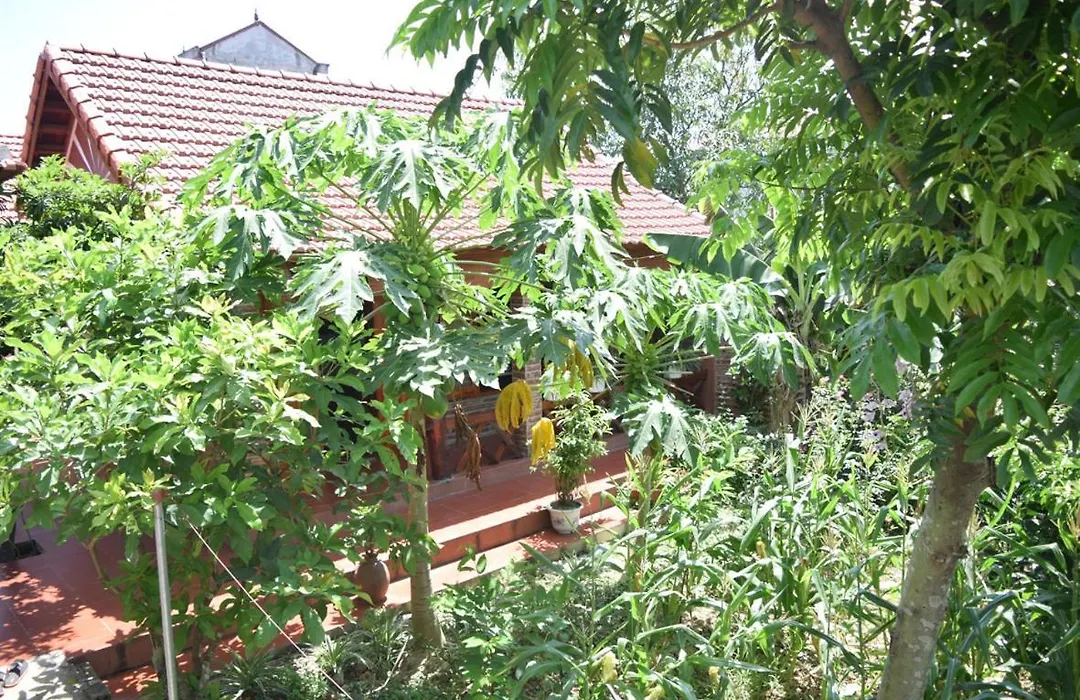 Van Long Family Homestay-1