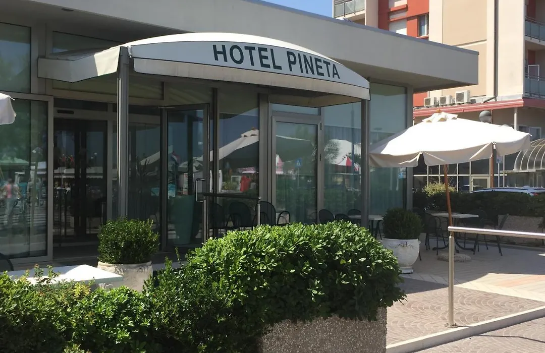 Hotel Pineta-1