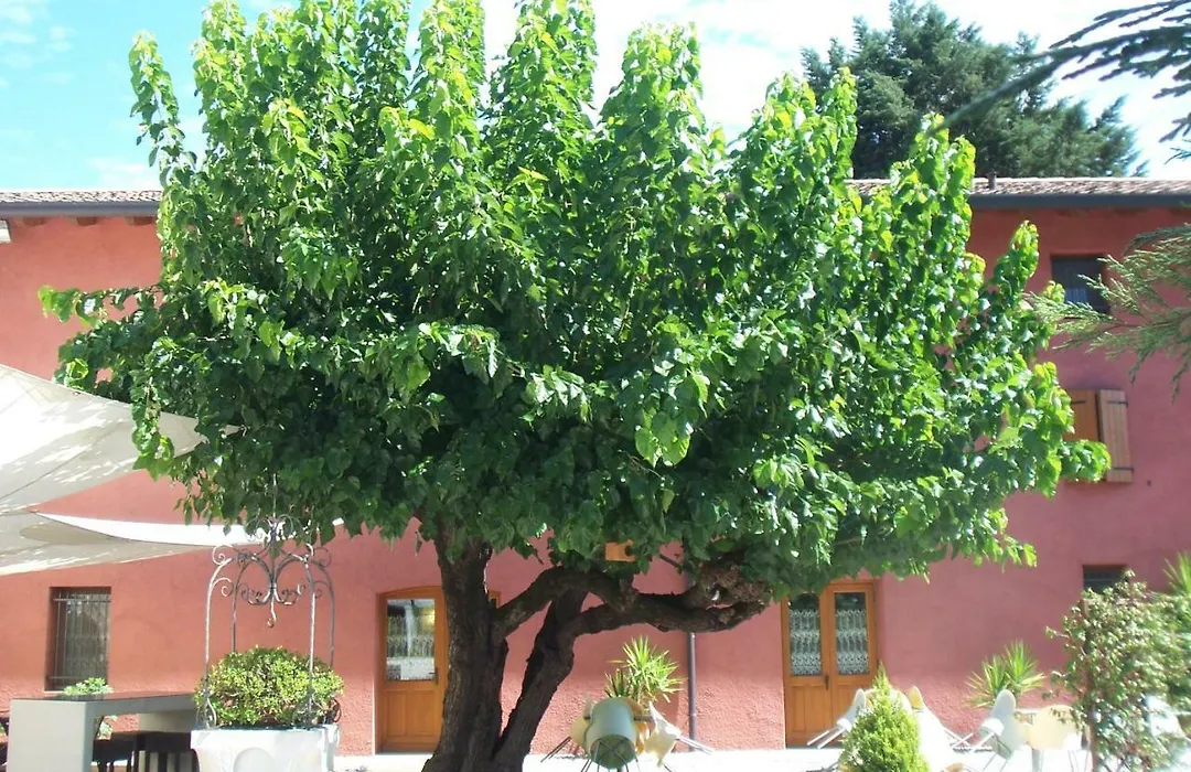 Agriturismo Al Casale-1
