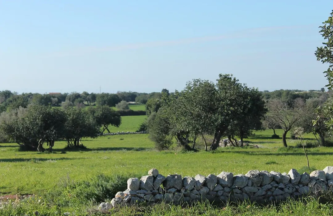 Le Chiuse di Guadagna-1