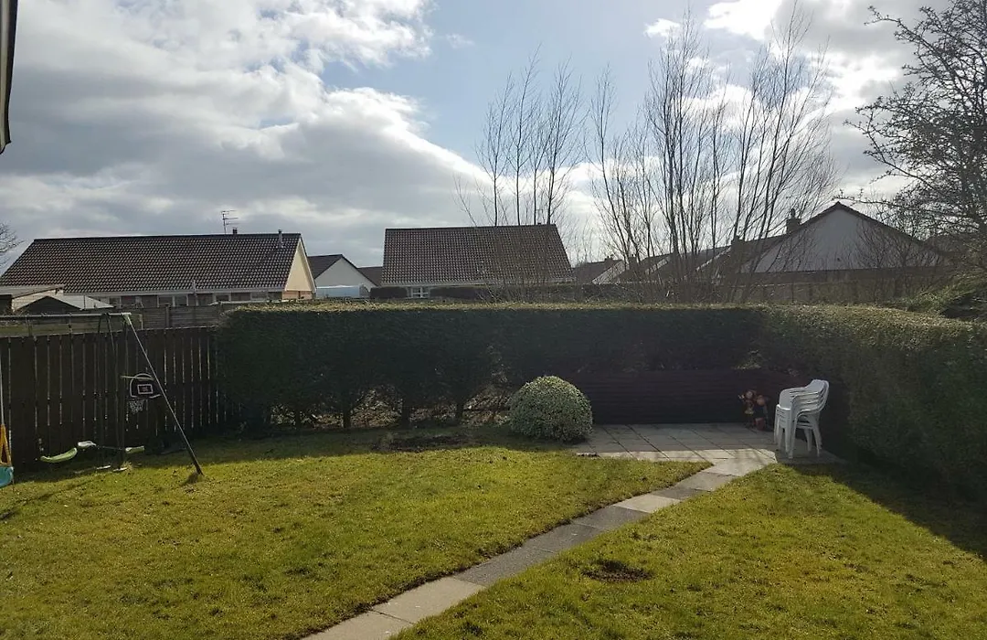Willowfield-1