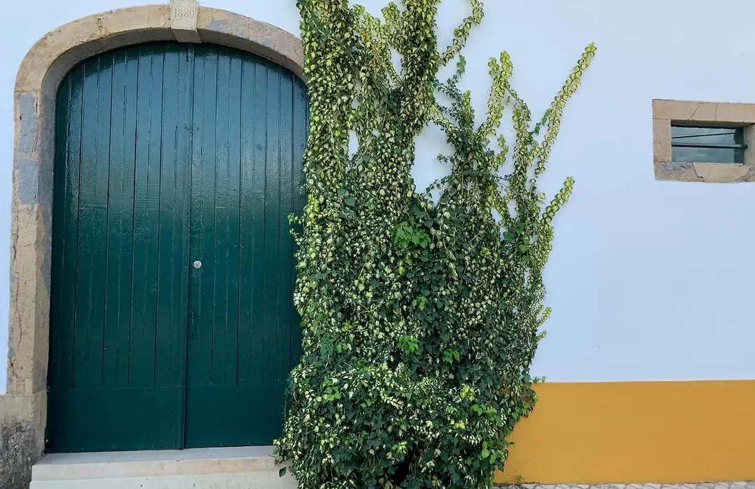Quinta Ribeira Do Labrador - Lisbon West Wine Route-1