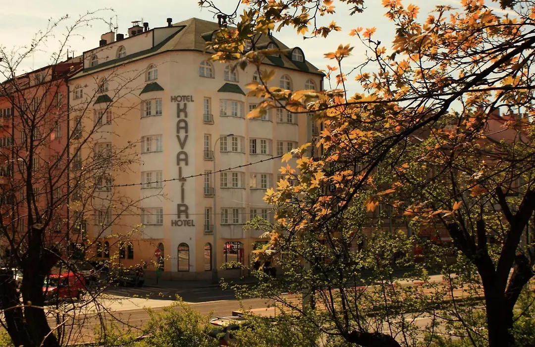 Kavalir-1