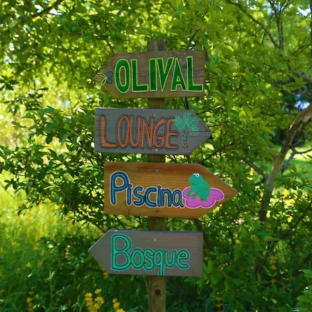 Casa Das Palmeiras-Pedagogic Farm-3