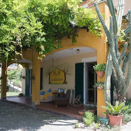 B&B La casa dei gelsi-3