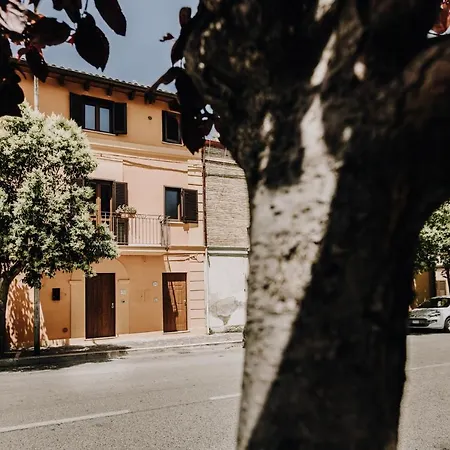 B&B La Cicala-2