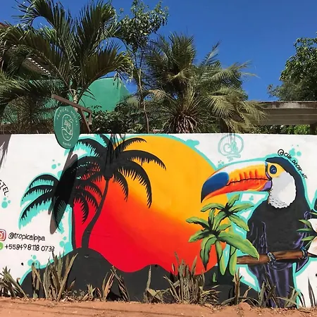 Tropical Hostel-3