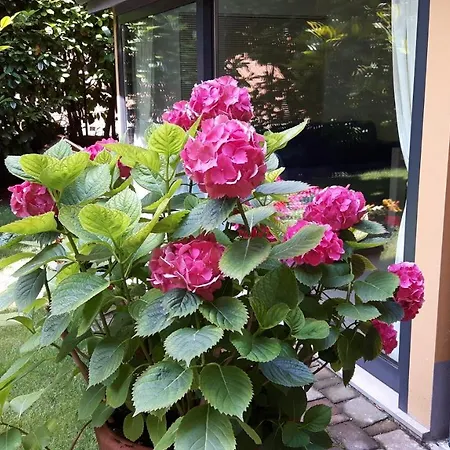 La Magnolia B&B-2