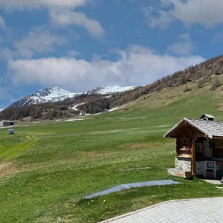 Mountain Chalet Milly-2