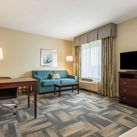 Hampton Inn & Suites Orlando-South Lake Buena Vista-3