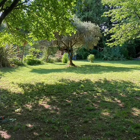 Maison du Loup-2