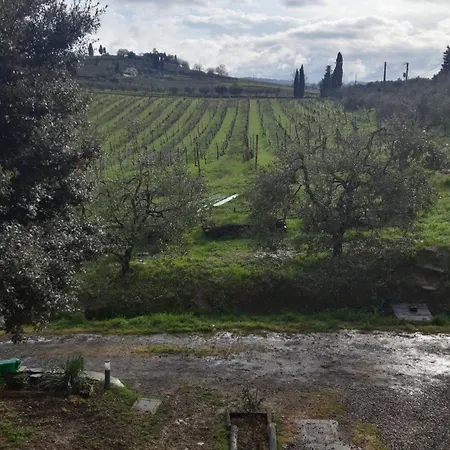 Agriturismo Fattoria le caprine-3
