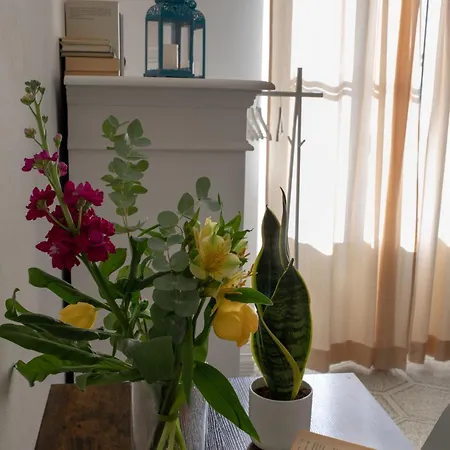 Guest House Le Due Lagune-3