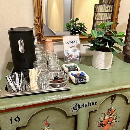 Hotel Jardin Bern-3