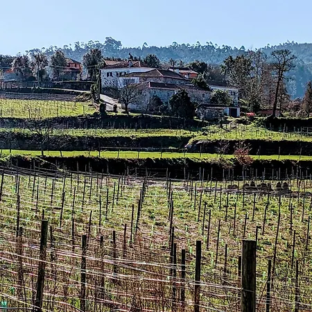 Quinta Da Lage Agroturismo E Enoturismo-3
