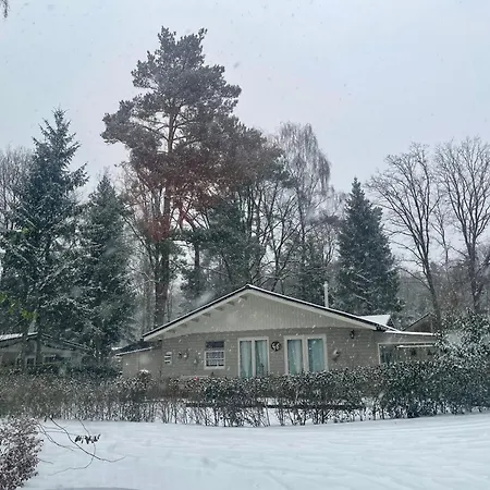 St Hubertus Chalet 46 Beverstseweg 15 Zutendaal-2