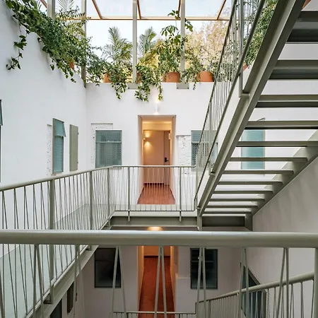 Nido Condesa-2