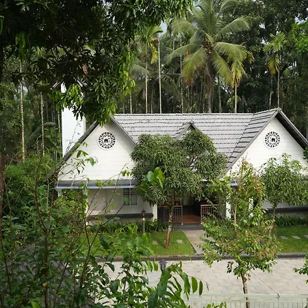Royad Calicut Farm House - Premium Resort With Pool Inside A Farm-2
